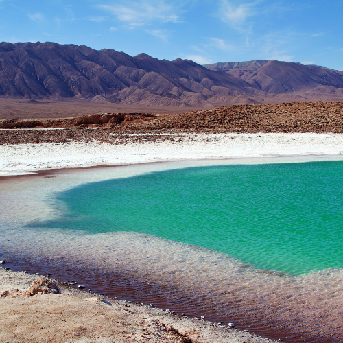 "Trip organization services in Chile"